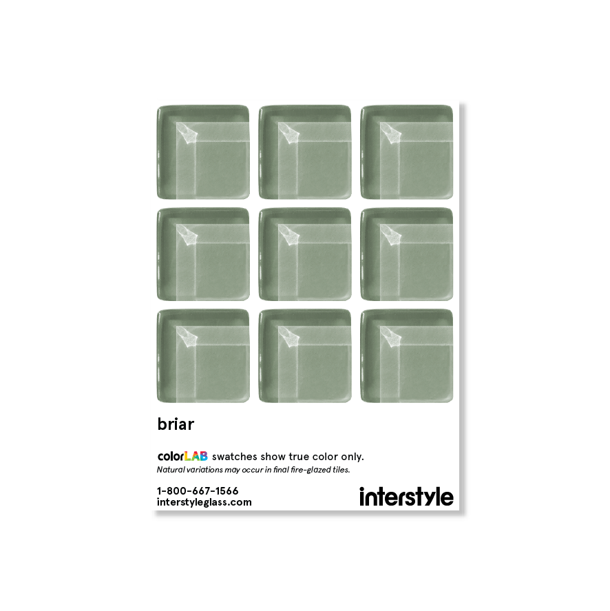 Sample Swatch | Briar