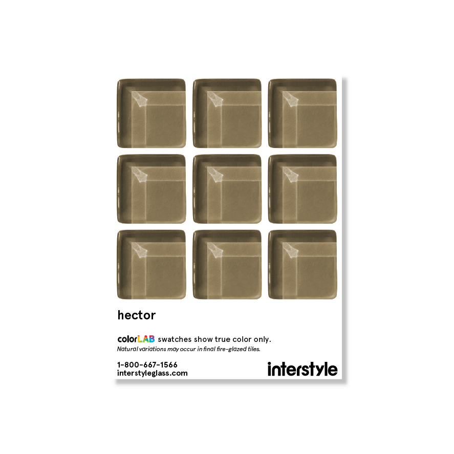 Sample Swatch | Hector