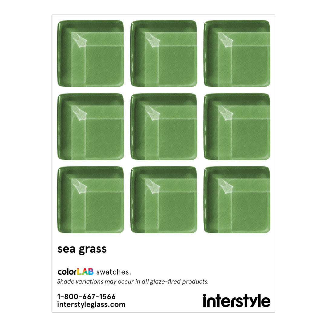 Made To Order Glass Tile | Sea Grass