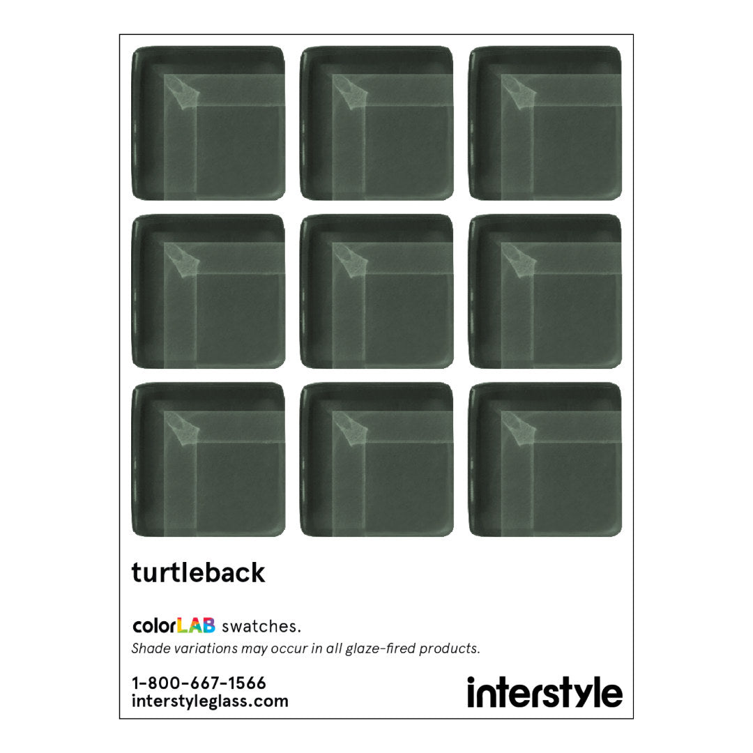 Turtleback