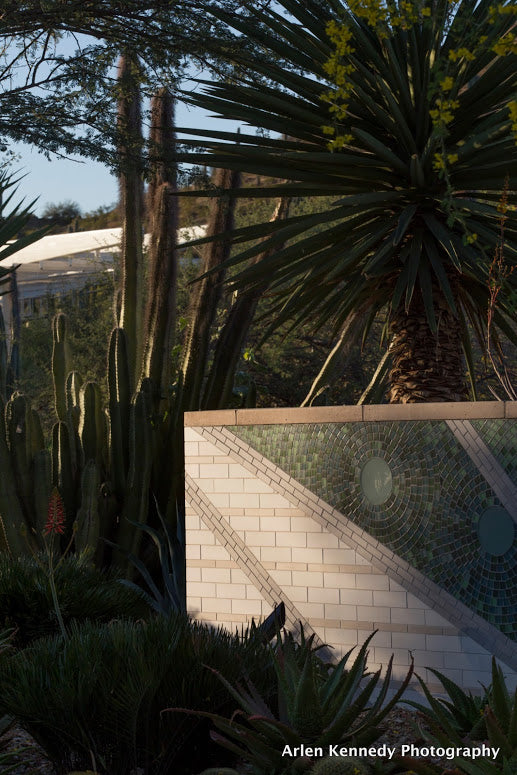 Desert Botanical Garden